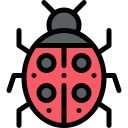 Ladybug