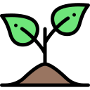 Sprout