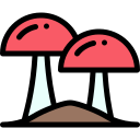 Mushroom