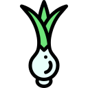 Onion