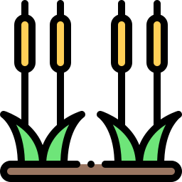 Reed icon