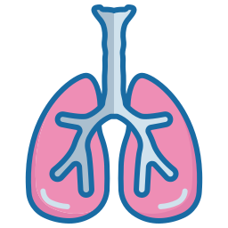 Lungs icon