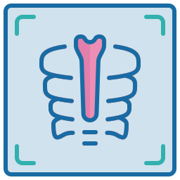 X ray icon