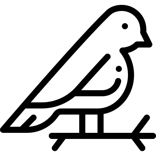 Bird Detailed Rounded Lineal icon