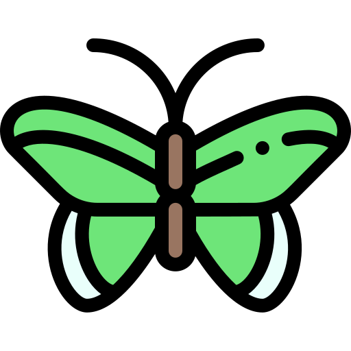 Butterfly Detailed Rounded Lineal color ikoni