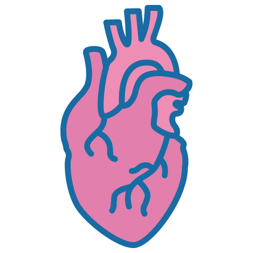 Heart Generic color lineal-color icon