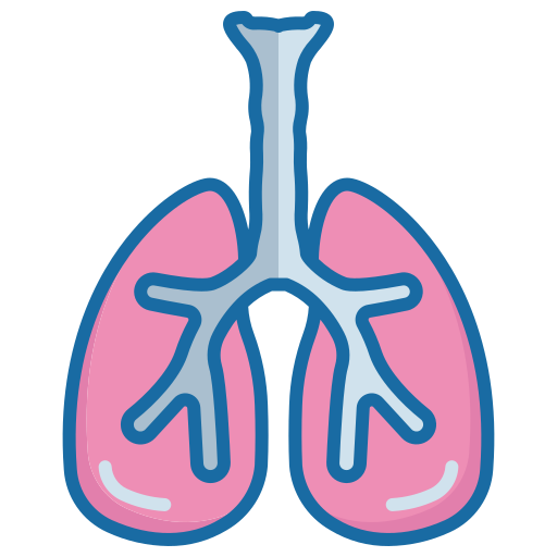 Lungs Generic color lineal-color icon