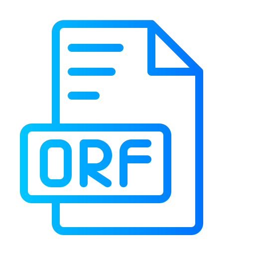 Orf Generic gradient outline icon