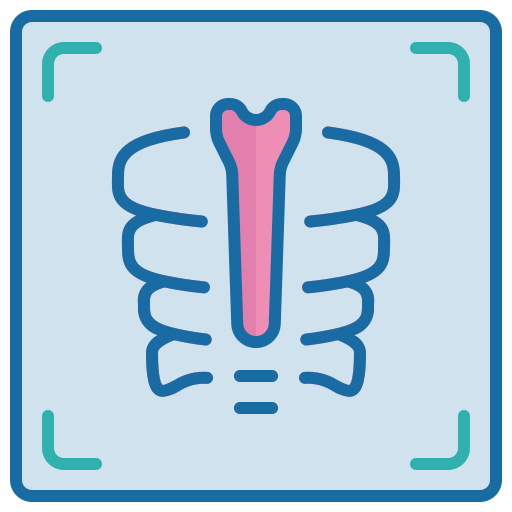 X ray Generic color lineal-color icon