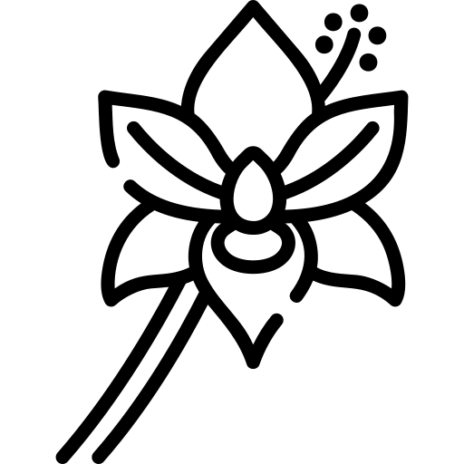 Orchid Special Lineal icon